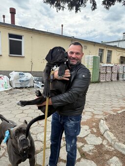 Pomoc s výchovou - socializace - jiné problémy - venčení - 8