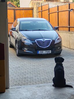 Lancia delta lll 1.6jtdm - 8