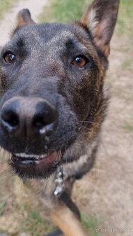 FREYA K ADOPCI - dokonalá parťačka - 8