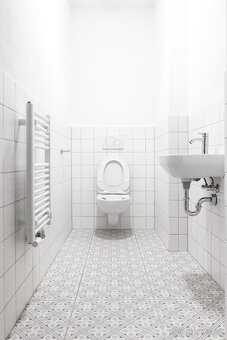 Pronájem bytu 2kk, 71 m2, Kostelec nad Orlicí - 8