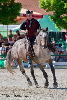 Luxusní kobyla - 8