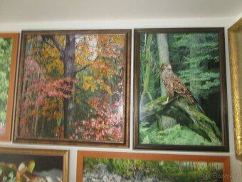 obrazy pro myslivce-bažant-tetřev-jelen-olejomalba - 8