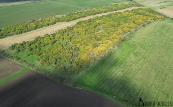 Prodej sadu, 22 292 m², Hustopeče u Brna - 8