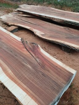 Fošny z červeného Jilmu - 8