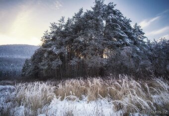 Canon EOS 450D + Canon 18-55mm - 8