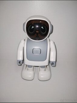 Program dancer Robert robot - 8