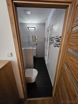 Pronájem bytu 2+1 ul. Pod parkem Ústí nad Labem - 8