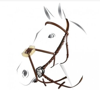Uzdečka Equestro cob - 8