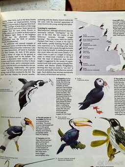 Joy of Knowledge naučné knihy v angličtině - 8