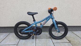 Scott Roxter 14" - 8