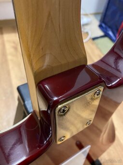 Yamaha Pacifica 312, SKB plastový kufr - 8