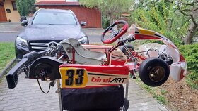 Dětská závodní motokára easykart 60 ccm Birel Art - 8