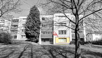 Prodej družstevního bytu 1+kk, Orlová – Lutyně, ulice Osvobo - 8