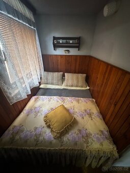Prodej zahrady 386 m² s chatou v obci Žichov - 8