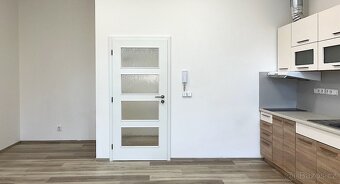 Prostorný 1+kk Lidická u Lužánek i k dlouhodobému nájmu - 8