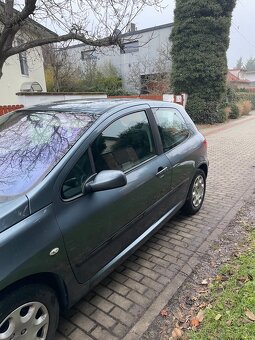 Peugeot 307 - 8