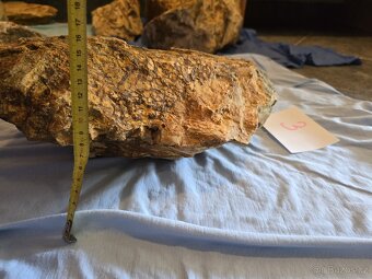 Zkamenělé dřevo do akvária - 8