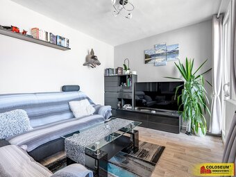 Velké Pavlovice - RD vícegenerační, zahrada, rekonstrukce – - 8