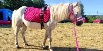 Pony kobylka - 8