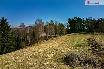 Stavební a lesní pozemky, 11355 m2, Křínov u Plané, okres Ta - 8
