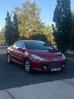 Peugeot 307 CC - 8