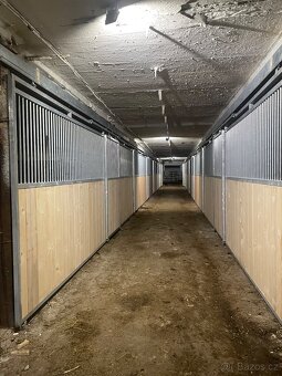 Ustájení koní - 8