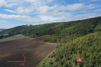 Prodej, pozemky/bydlení, 3833 m2, samota Na Vinici, Beroun-M - 8