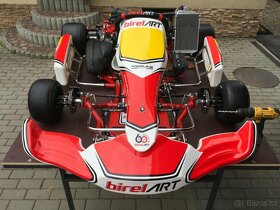MOTOKÁRA BIREL ART ROTAX DD2 - 8