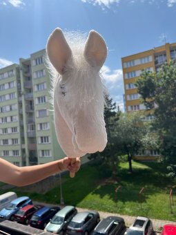 Hobby Horse - 8