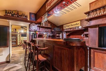 Prodej restaurace, 400 m2, Praha - Vinohrady, ev.č. VS234 - 8