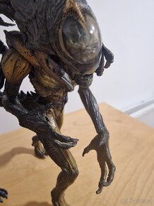 Aliens - Genocide Red Queen, Predalien Hybrid, Xenomorph - 8