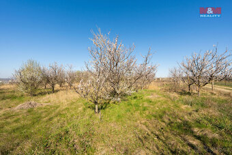 Prodej zahrady, 2462 m², Dobšice u Znojma - 8