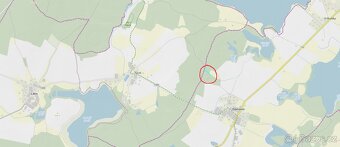 Prodám lesní pozemky v k.ú. Domanín u Třeboně - 8