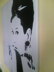 Design dekorativní obraz, Audrey Hepburn, rozměr: 900x900 - 8