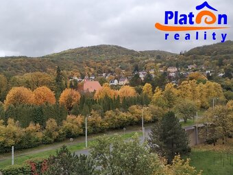 Pronájem bytu 2+1+L, ul. Nová, UL - Střekov - 8