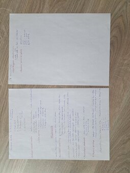 Vypracované maturitní otázky ze ZSV - pro Gymnázia - 8
