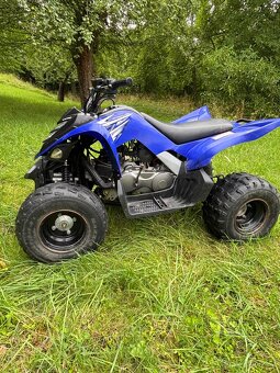 Yamaha yfm 90 - 8