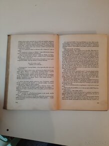 Přežila jsem Osvětim - 8