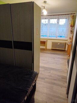 Pronajmu byt 2+1 na sídlišti Skalka - 8