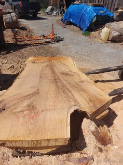 Dubové fošny xl - 8