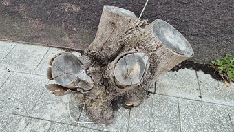 Špalky na prodej - 8