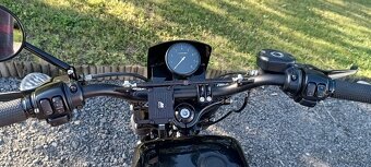 Harley Davidson 1200C - 8