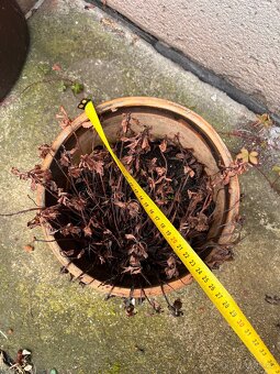 Květináče (i s obsahem pokud chcete) - cena za vsechny - 8