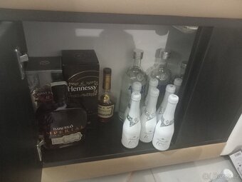 Práva kůže, se zabudovaným minibarem - 8