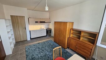 Ihned volná zařízená garsoniéra 26m2 po rekonstrukci, Brno K - 8