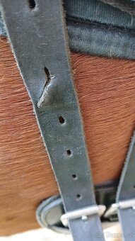 Drezurní sedlo Zdravá Zvířata 16" - 8