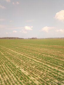 Prodej domu na samotě - 8