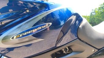 Suzuki XF 650 Freewind - 8