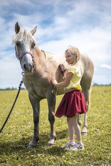 Valašek Český sportovní pony - 8
