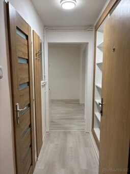 Pronájem bytu po rekonstrukci - 8